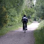 A cyclist rides along a scenic forest path surrounded by greenery on a sunny day.